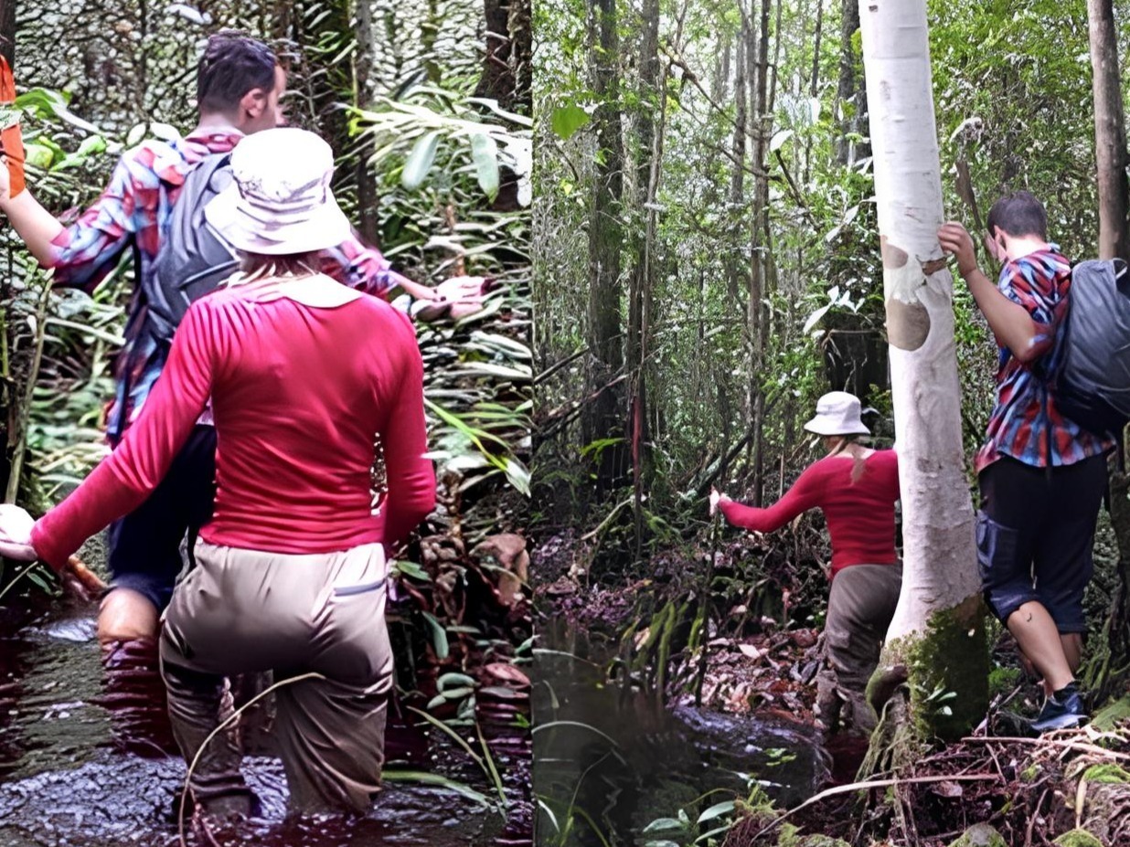Taman Nasional Sei Koran Kaja Sabangau