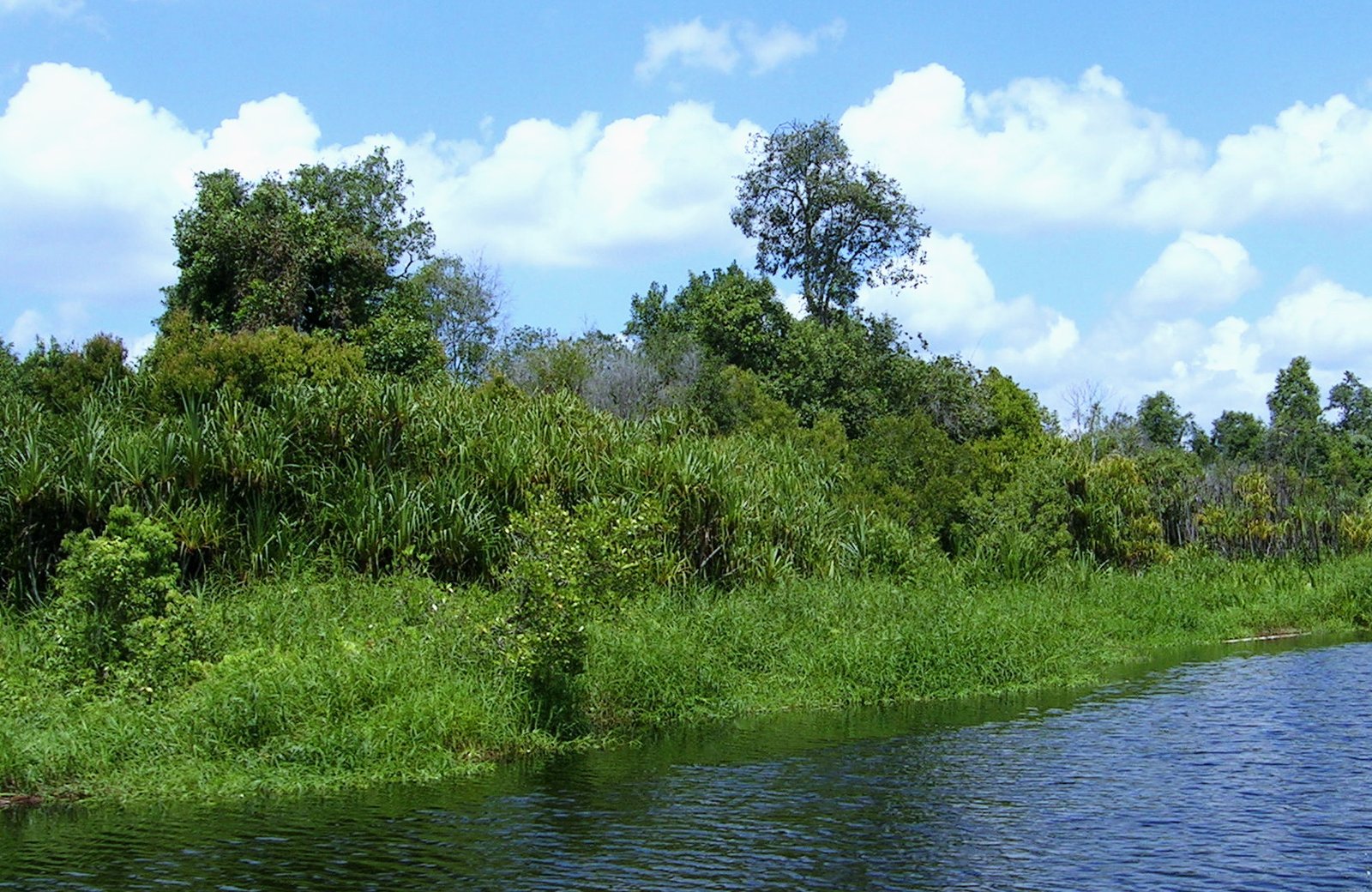 Palangka Raya - Orang Utan – Marang-Fisherman Village Tour