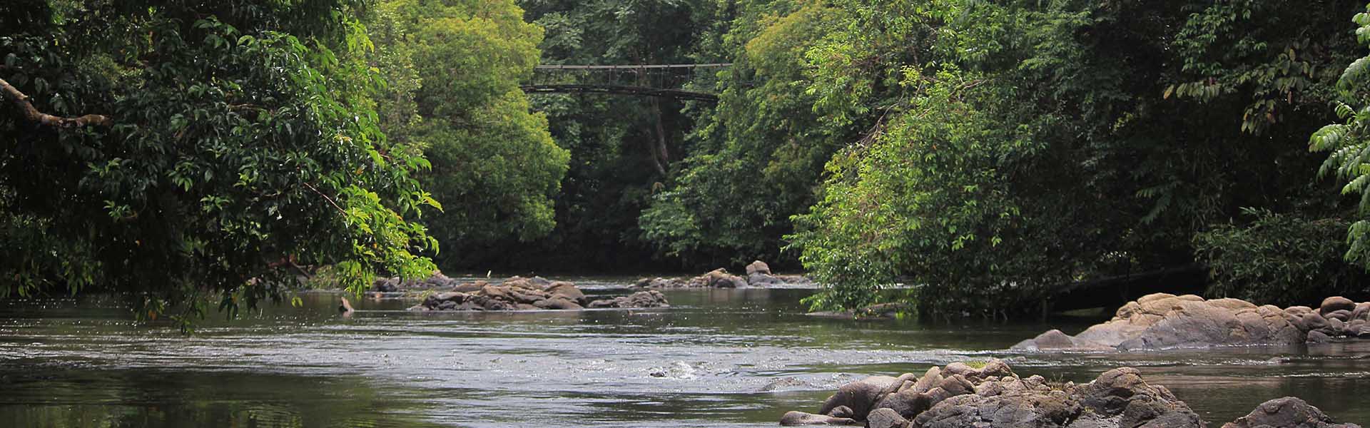 Dayak Tomun Indigeneous & Local Heritage Tour
