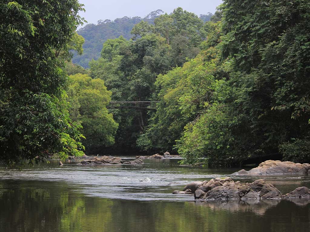 Dayak Tomun Indigeneous & Local Heritage Tour