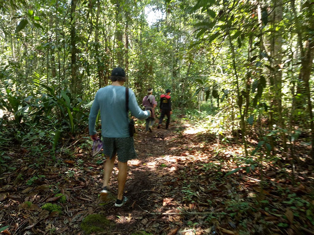 Natural History Journey of Bornean Orangutan to Tanjung Puting