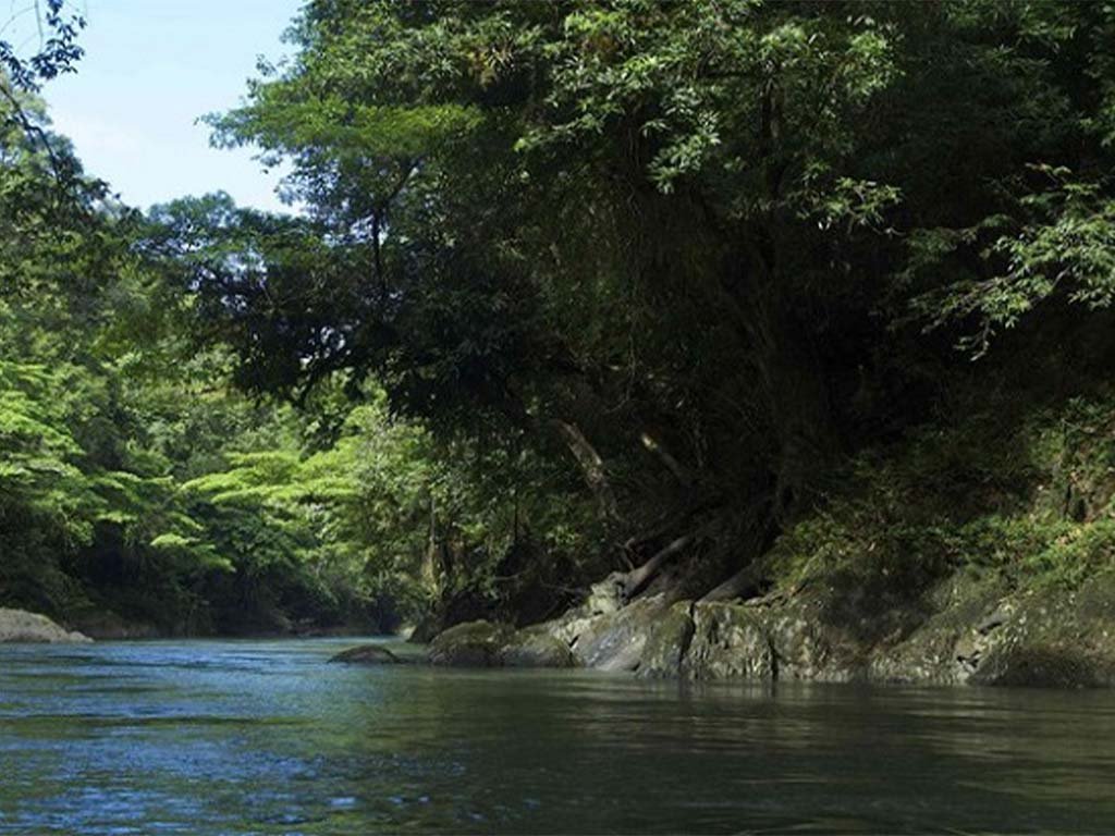 Semangat Jelajah Alam, Budaya dan Petualangan Wisata Taman Nasional Betung Kerihun